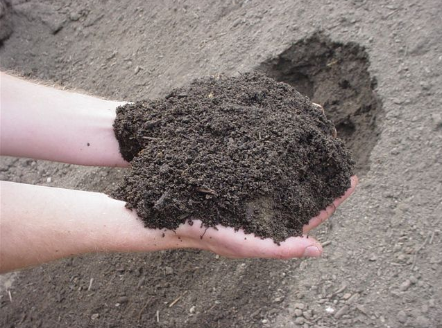 As Dug Topsoil